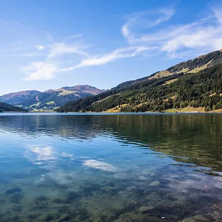 Gitti Apartment Gerlos